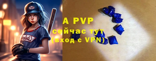 ГАЛЛЮЦИНОГЕННЫЕ ГРИБЫ Новозыбков