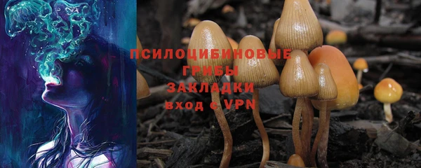 прущая мука Армянск