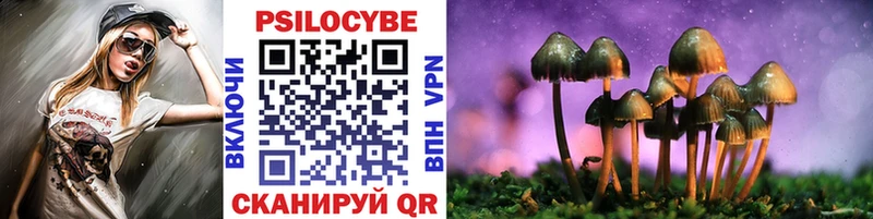 наркотики  Мегион  Псилоцибиновые грибы Psilocybe 